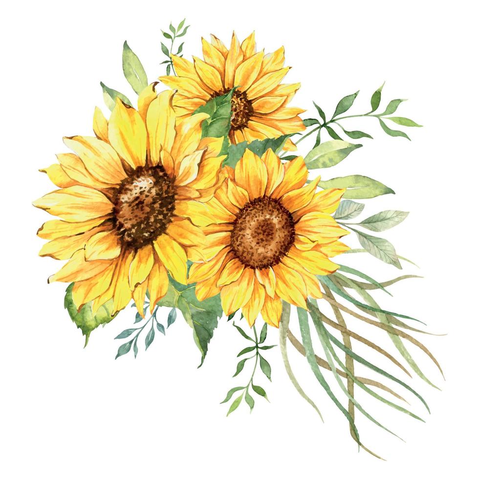 Aquarell-Sonnenblumenstrauß, handbemalte Sonnenblumensträuße mit Grün, Sonnenblumen-Blumenarrangement. hochzeitseinladungs-clipart-elemente. aquarell blumen. Botanische Zeichnung. weißer Hintergrund. vektor