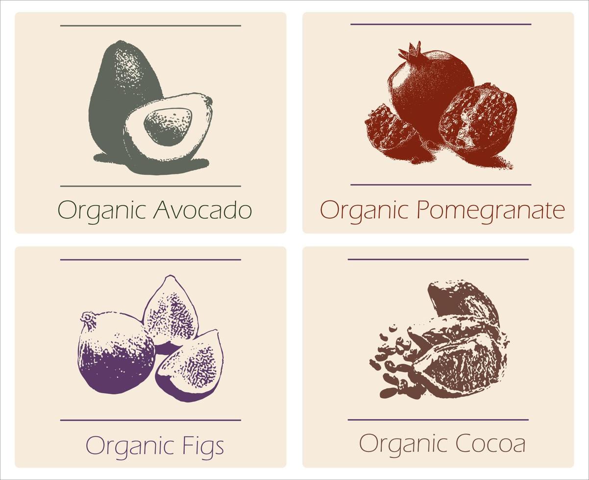 friska eco vegetarian mat. logotyp design vektor mall. ekologi färsk från bruka frukt logotyp begrepp ikon.