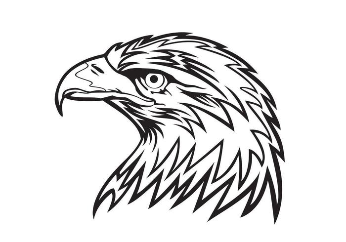 Eagle Head Vektor