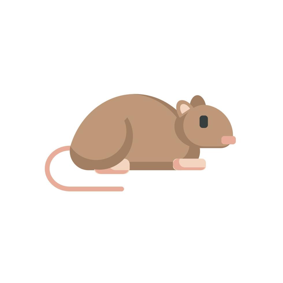mus, råtta ikon, platt ikon vektor illustration isolerat på vit bakgrund. för de tema av djur, gnagare och andra