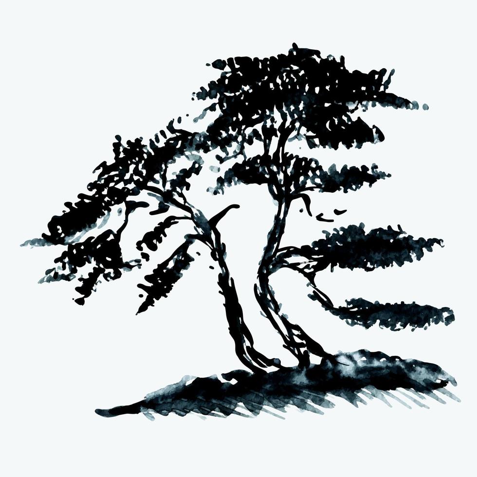träd växter av Japan, vattenfärg illustration. asiatisk stil för tryckning.traditionell trädgård av Japan, vattenfärg hand målad illustration. vektor