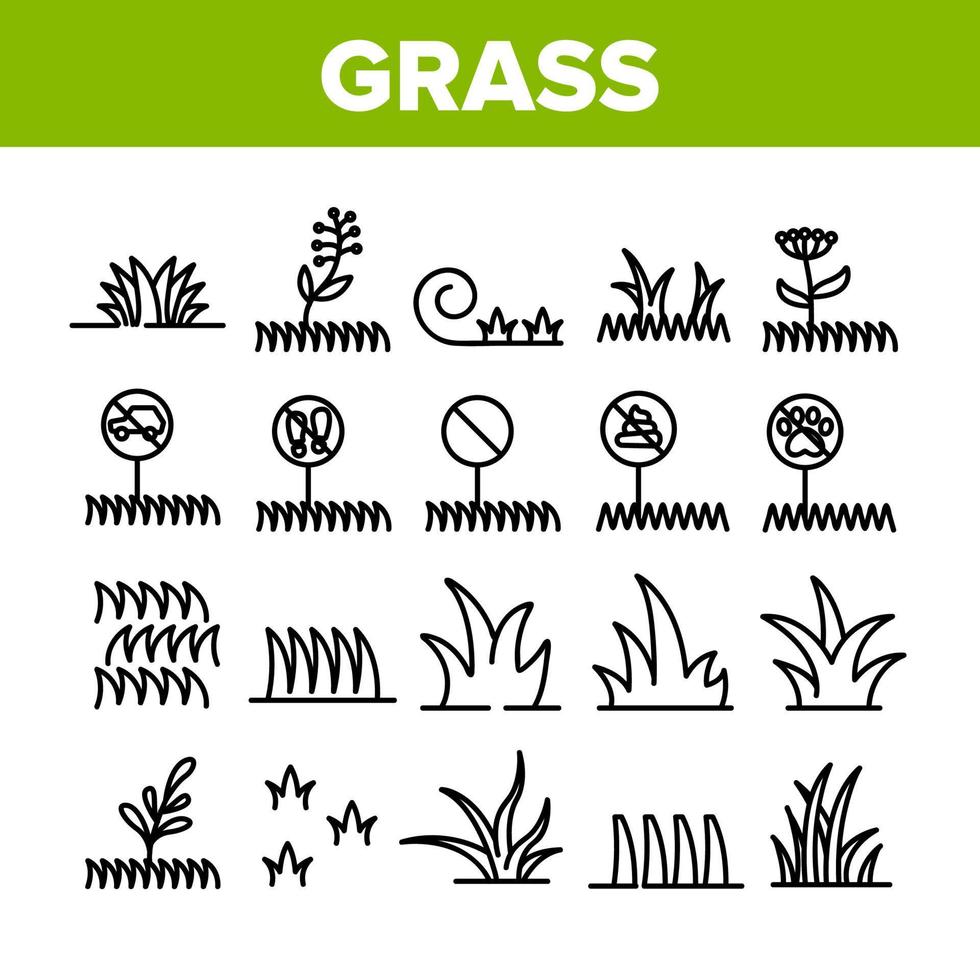 Ikonen der Sammlung von Graswiesenpflanzen setzen Vektor
