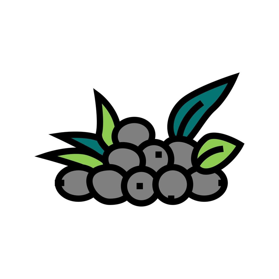 Olive natürliche Beeren Farbe Symbol Vektor Illustration