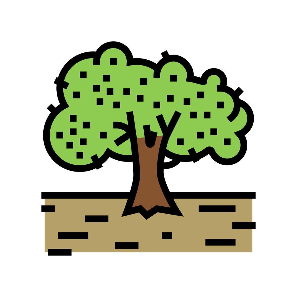 Anbau Olivenbaum Farbe Symbol Vektor Illustration