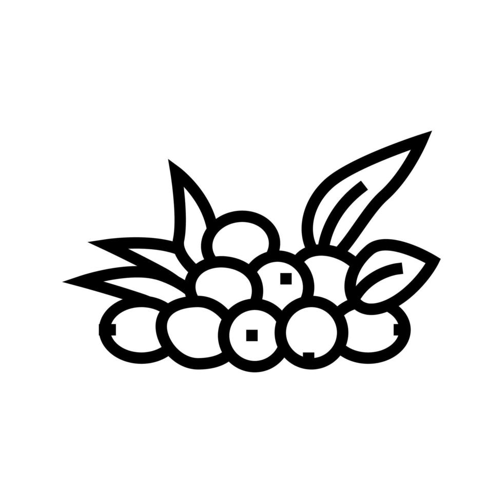 Olive natürliche Beeren Symbol Leitung Vektor Illustration