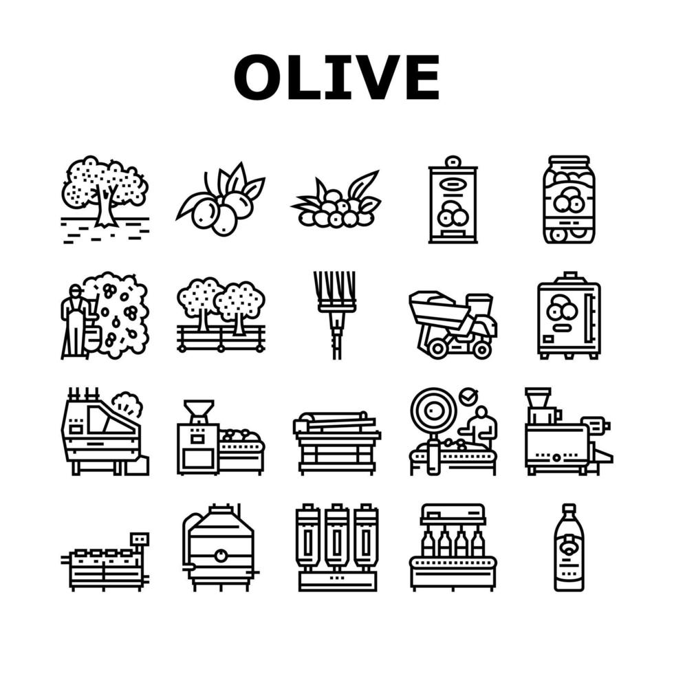 Olivenproduktion und Ernte Symbole setzen Vektor