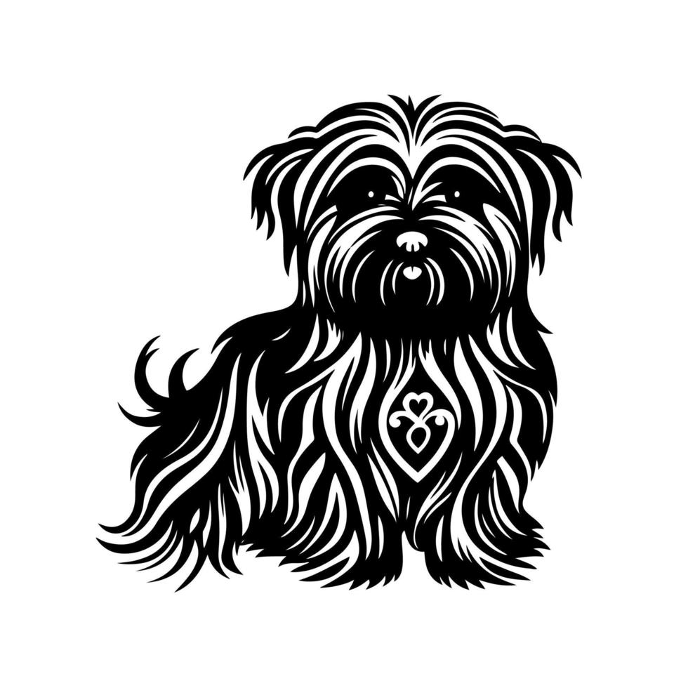 fluffig och söt havanese hund porträtt. dekorativ svartvit vektor för logotyp, emblem, maskot, broderi, trä brinnande, hantverk.