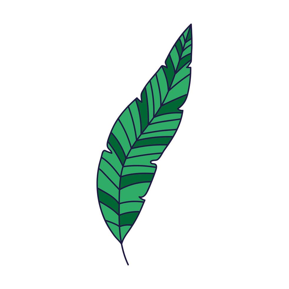 tropiska löv ikon vektor