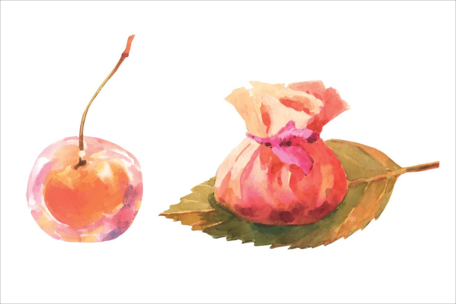 vattenfärg illustration sakuramochi med te trasa omslag och wagashi körsbär, gott japanisera sötsaker isolerat på vit bakgrund. vektor