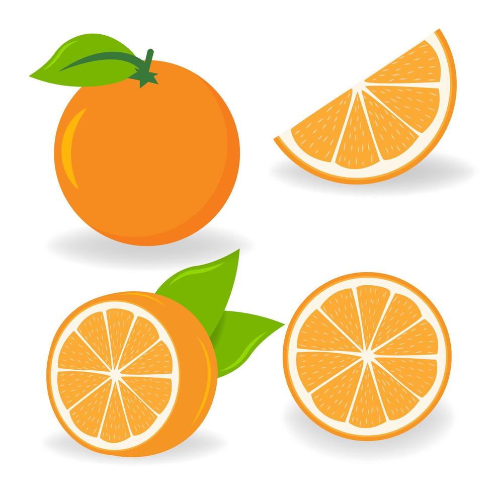 orangefarbenes Symbol. geschnittene Orangenscheiben auf unterschiedliche Weise. isolierte Vektorillustration. vektor