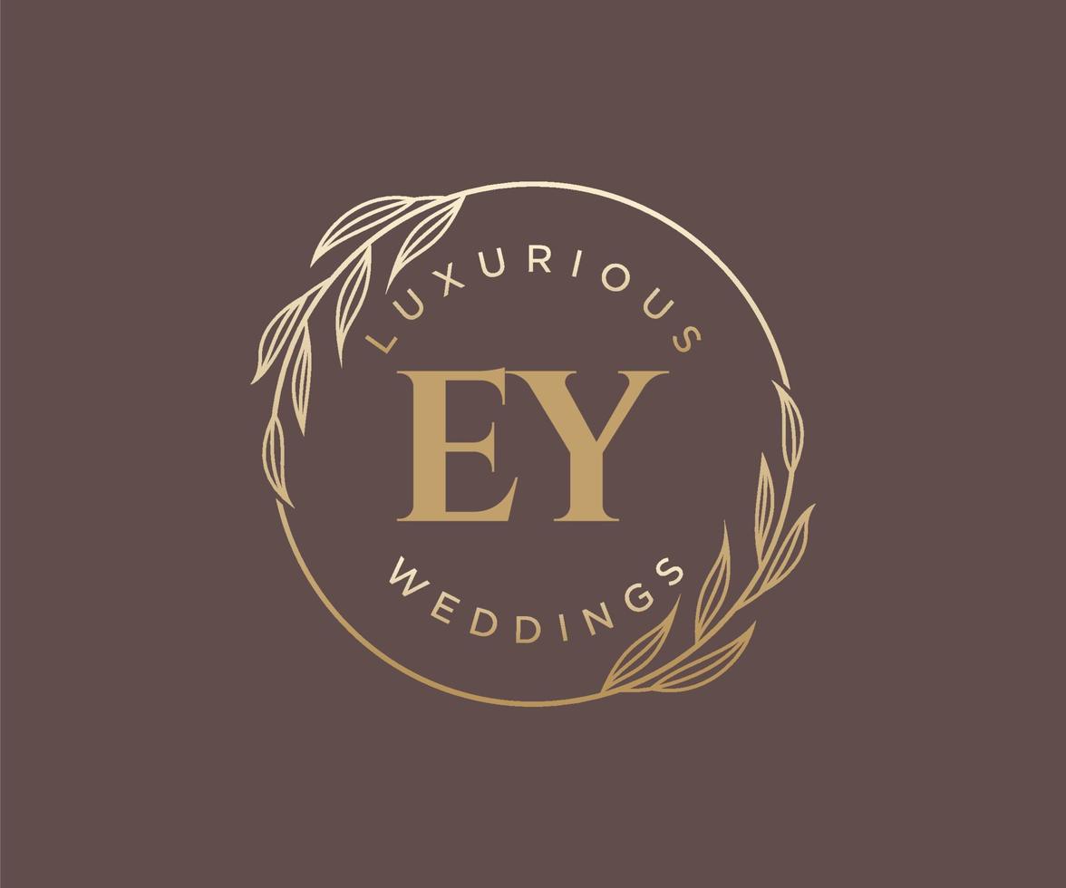 ey initialer brev bröllop monogram logotyper mall, hand dragen modern minimalistisk och blommig mallar för inbjudan kort, spara de datum, elegant identitet. vektor