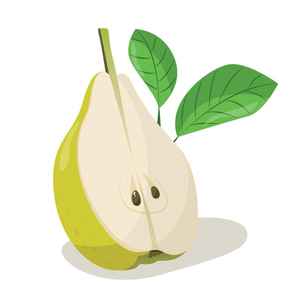 illustration av päron med blad, vektor illustration av päron isolerat på vit bakgrund, päron med löv, halv av päron, bit av päron isolerat