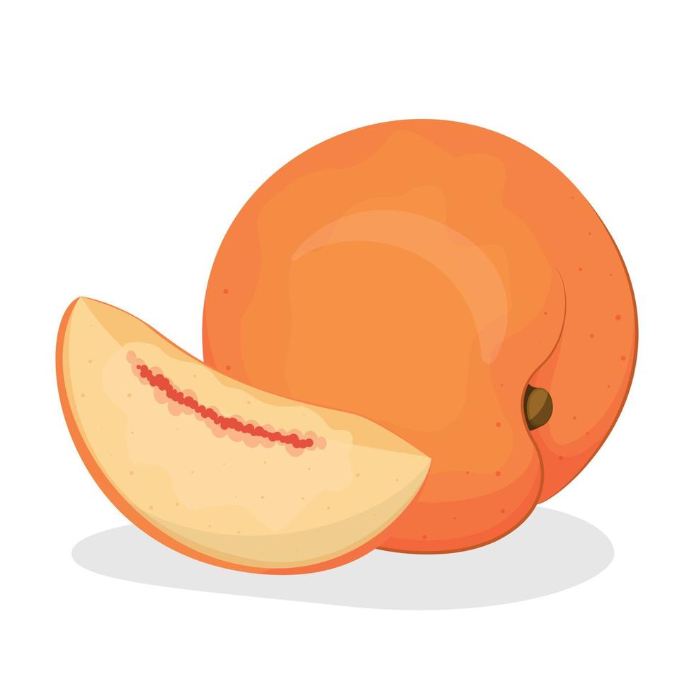 vektor illustration av persika isolerat på vit bakgrund, persika med löv, halv av persika, bit av persika isolerat