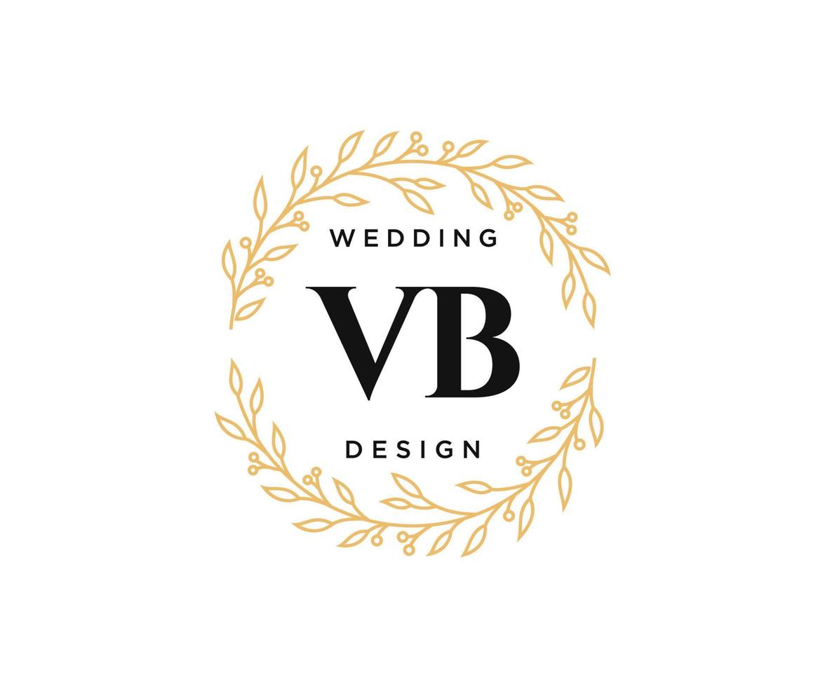 vb initialer brev bröllop monogram logotyper samling, hand dragen modern minimalistisk och blommig mallar för inbjudan kort, spara de datum, elegant identitet för restaurang, boutique, Kafé i vektor