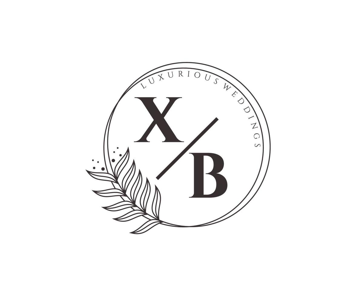 xb initialer brev bröllop monogram logotyper mall, hand dragen modern minimalistisk och blommig mallar för inbjudan kort, spara de datum, elegant identitet. vektor