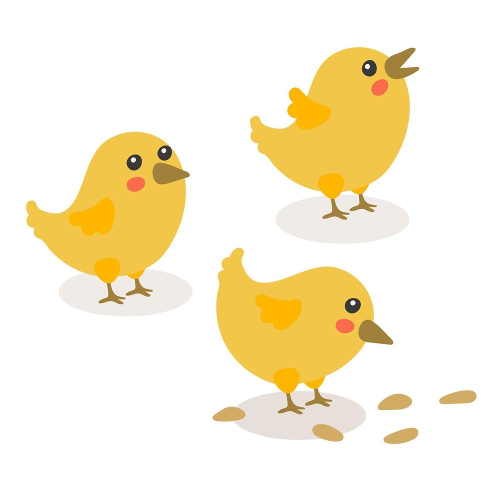 ute tecknad serie kyckling uppsättning. rolig gul kycklingar i annorlunda poserar, vektor enkel illustration. kycklingar för påsk. kyckling till de frön, utseende på de topp, skriker. isolerat