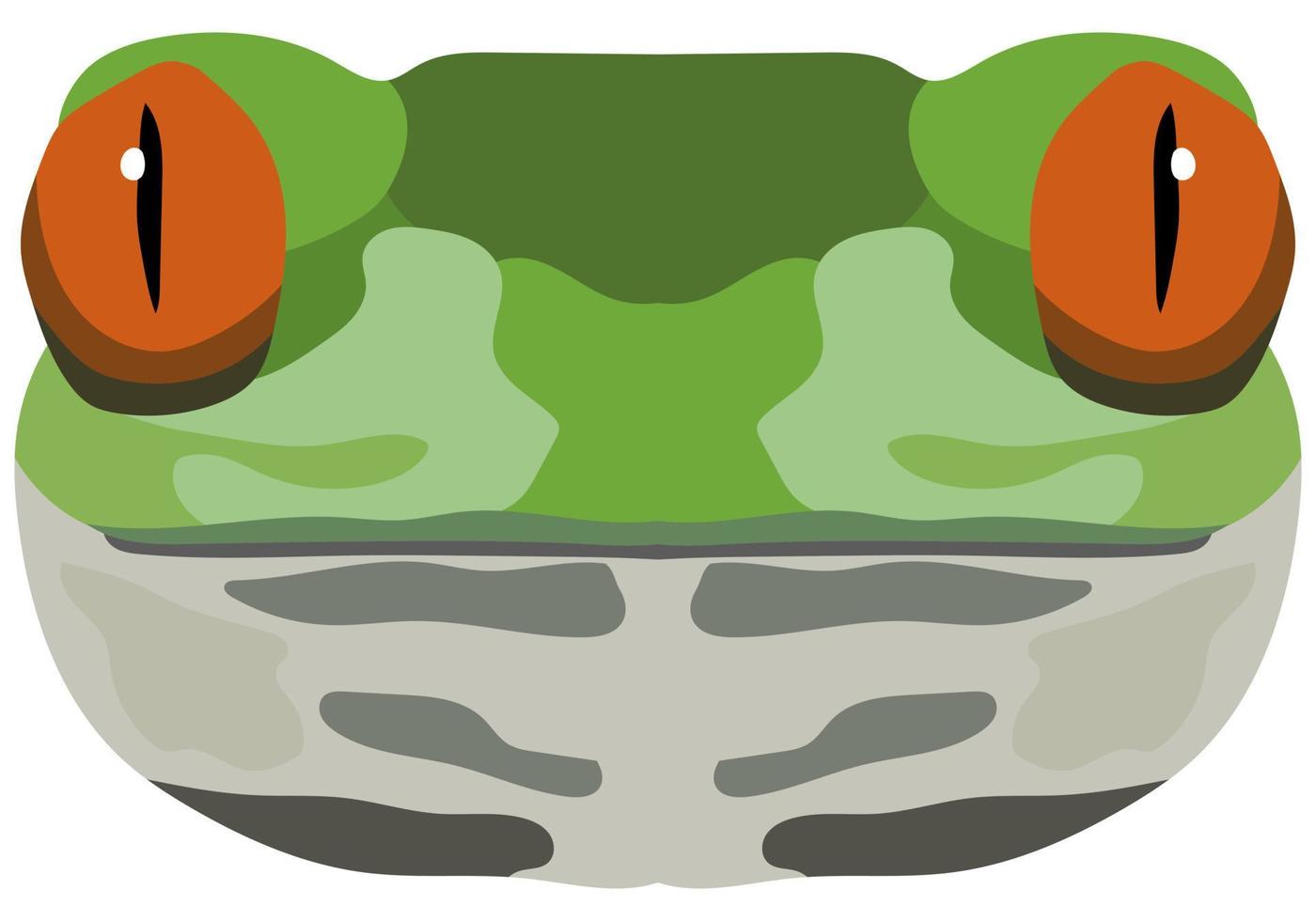 realistische Froschschnauze. Porträt eines grünen Frosches auf weißem Hintergrund. Vektorgrafiken. vektor