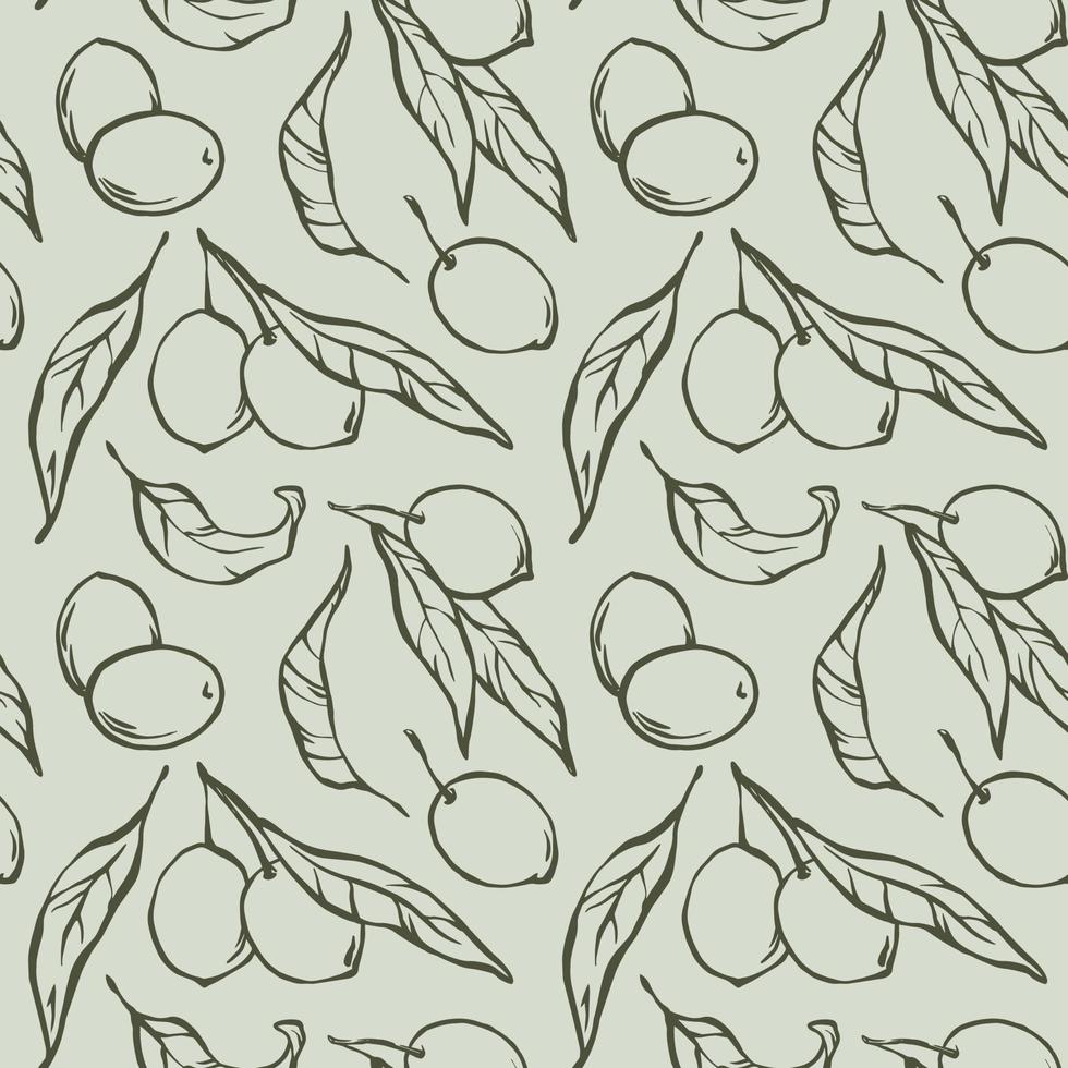 Olivenzweig nahtlose Patten. Strichzeichnung von Oliven mit Blättern auf hellgrünem Hintergrund, Musterdesign für Olivenöl, Naturkosmetik, Verpackung, Küchentextilien und Stoff. vektor