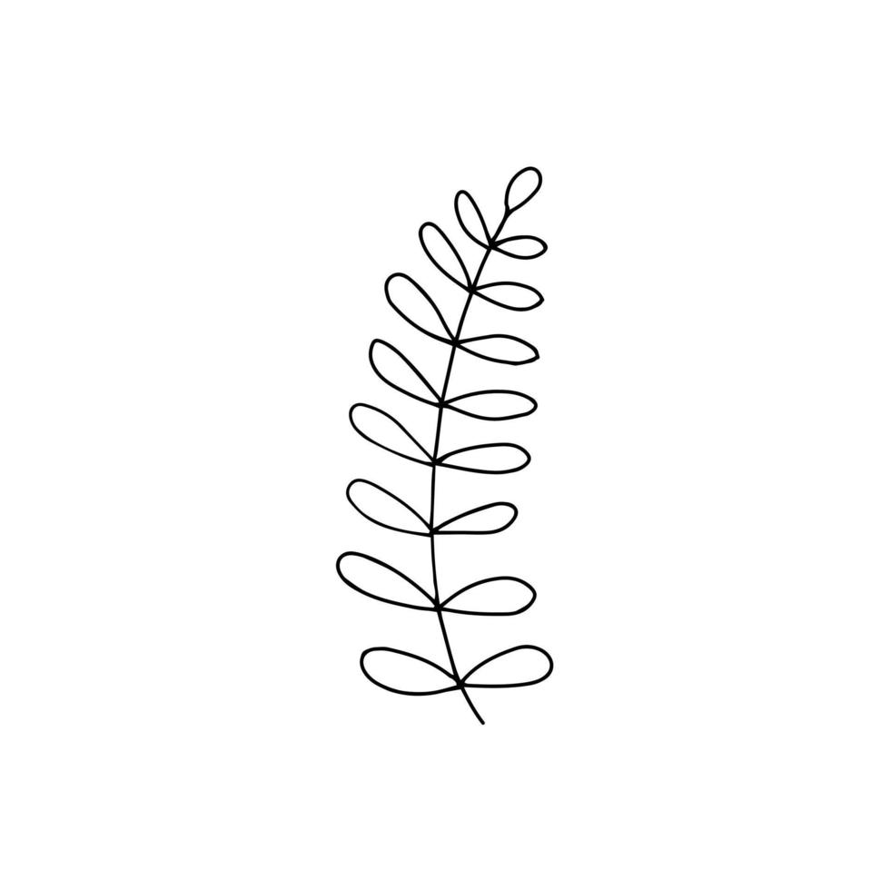 Zweig mit Blättern Doodle-Vektor. handgemalt vektor