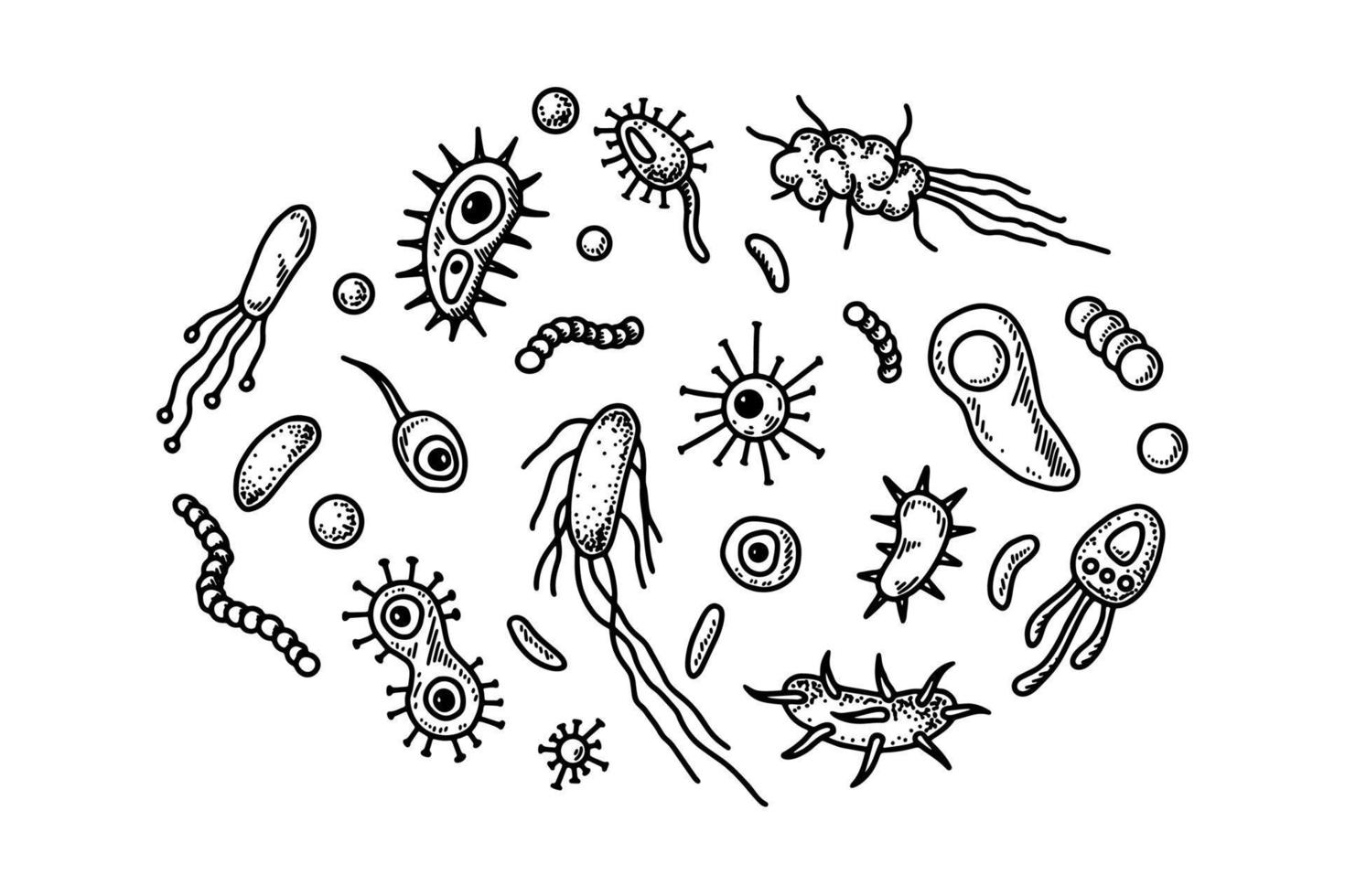 uppsättning av hand dragen bakterier och mikroorganismer. vektor illustration i skiss stil. realistisk mikrobiologi vetenskaplig design