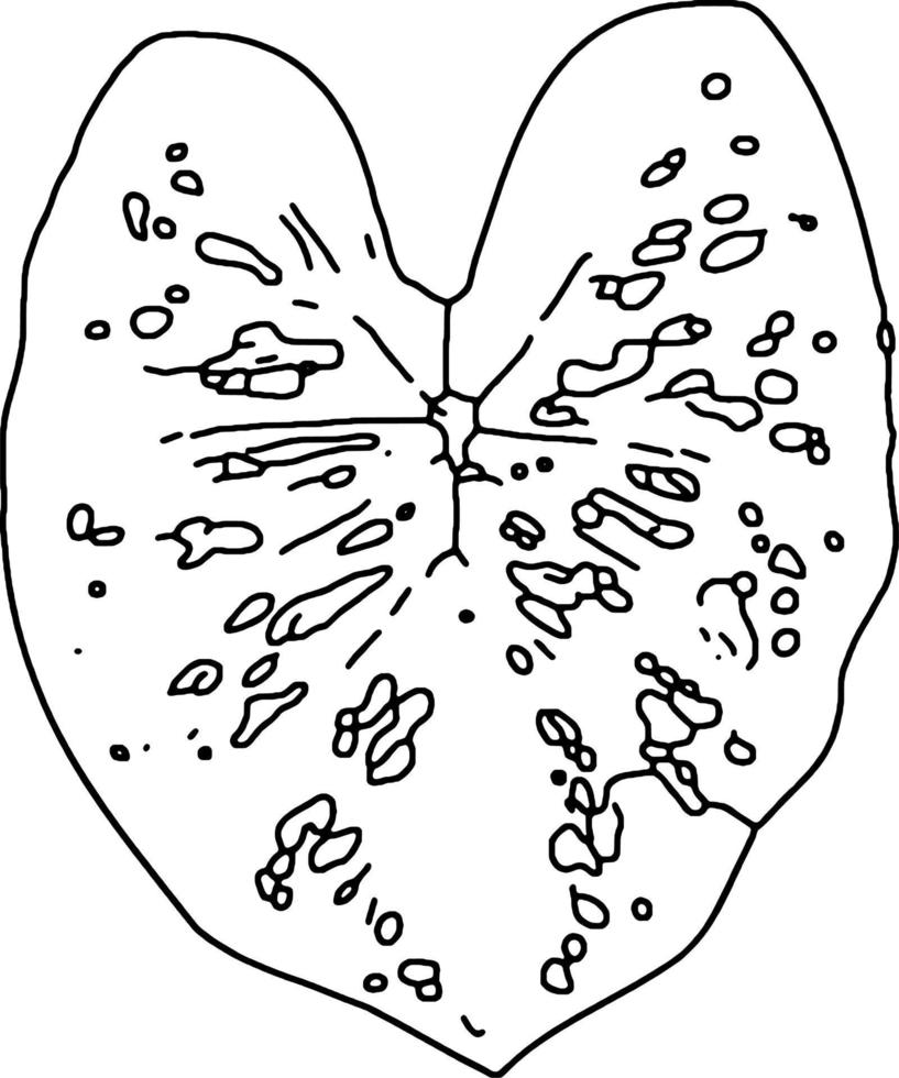 vektorillustration der blattkarikatur vektor