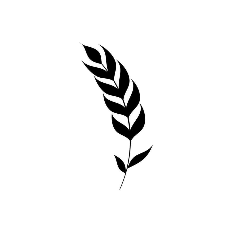 Weizen-Icon-Vektor. Getreide Abbildung Zeichen. Erntesymbol. Farm-Logo. vektor