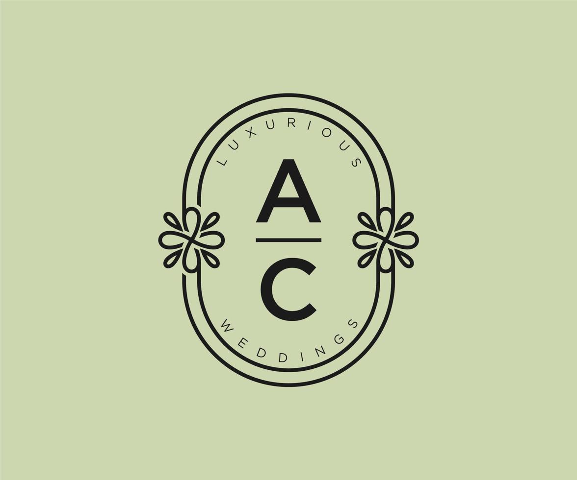 ac initialer brev bröllop monogram logotyper mall, hand dragen modern minimalistisk och blommig mallar för inbjudan kort, spara de datum, elegant identitet. vektor