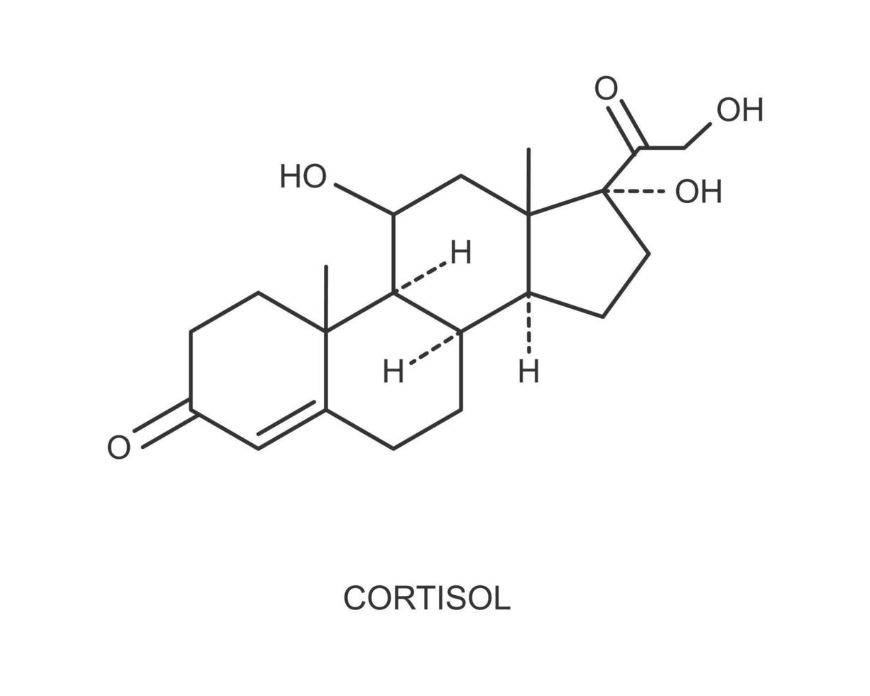 Cortisol-Hormon-Symbol. chemische Molekularstruktur von Hydrocortison vektor