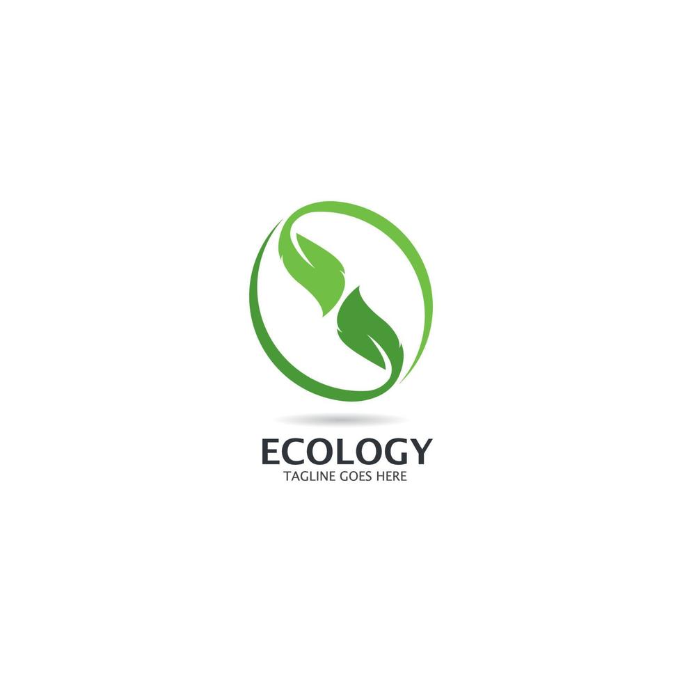 ekologi träd blad logotyp mall vektor