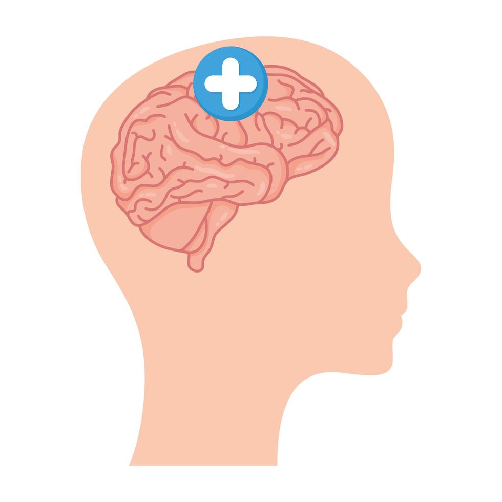 Kopf im Profil mit menschlichem Gehirn und Pluszeichen vektor