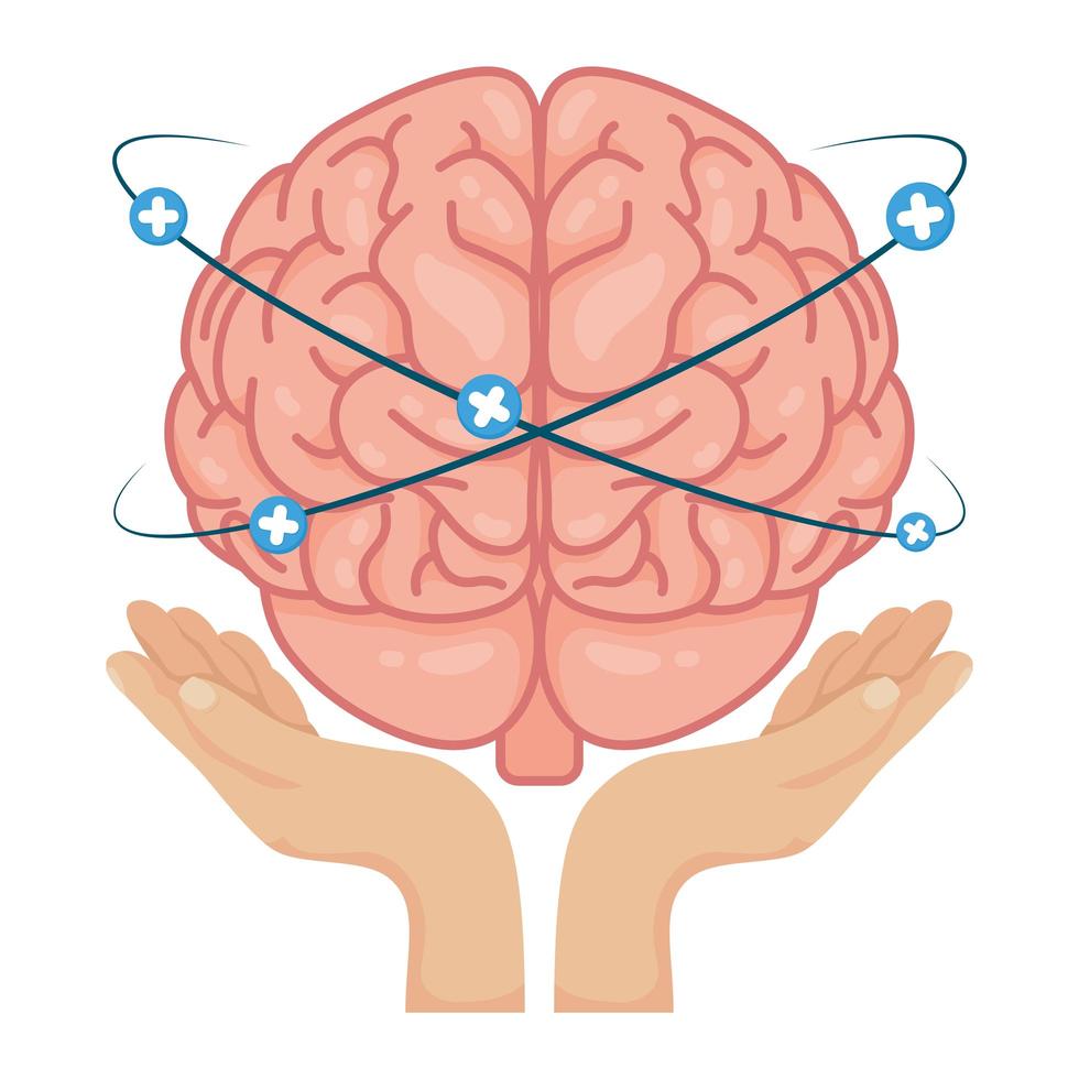 händer som lyfter mänsklig hjärna med plussymboler vektor