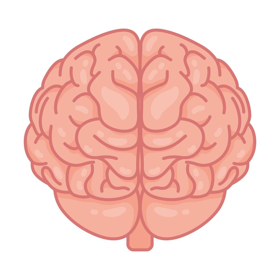 menschliches Gehirn, Symbol für psychische Gesundheit vektor