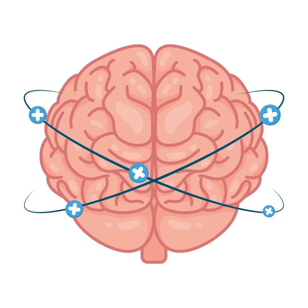 menschliches Gehirn mit Pluszeichen vektor