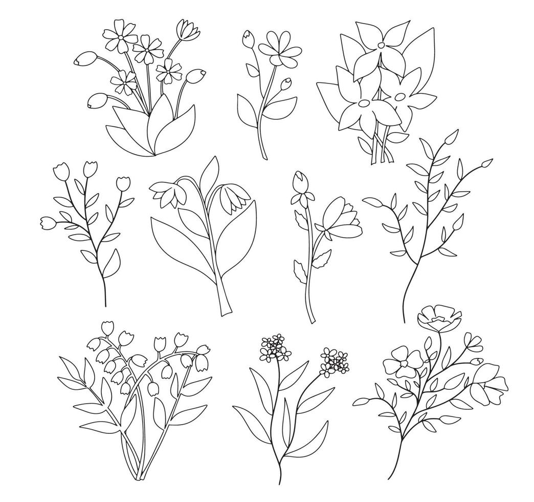 begrepp stor uppsättning vektor blommor växter svart silhuett översikt på vit bakgrund