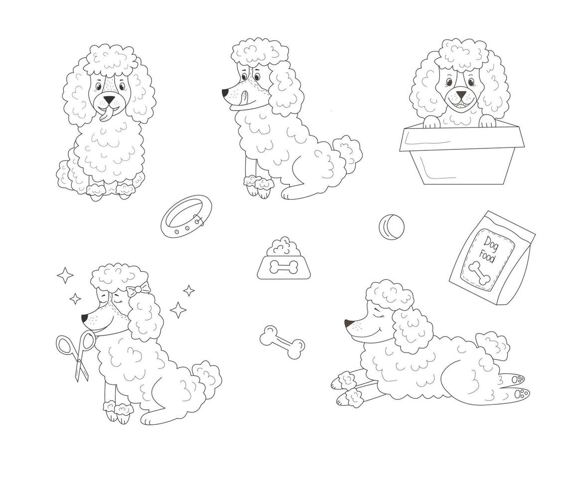 Linienset aus weißem Pudel mit unterschiedlichen Emotionen und Posen und Spielzeug für Hunde auf isoliertem Hintergrund vektor