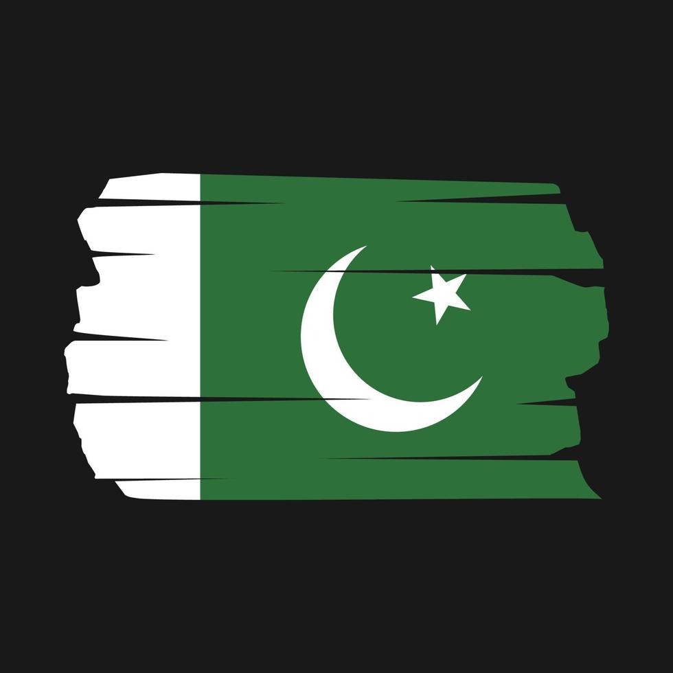 pakistan flaggborste vektor