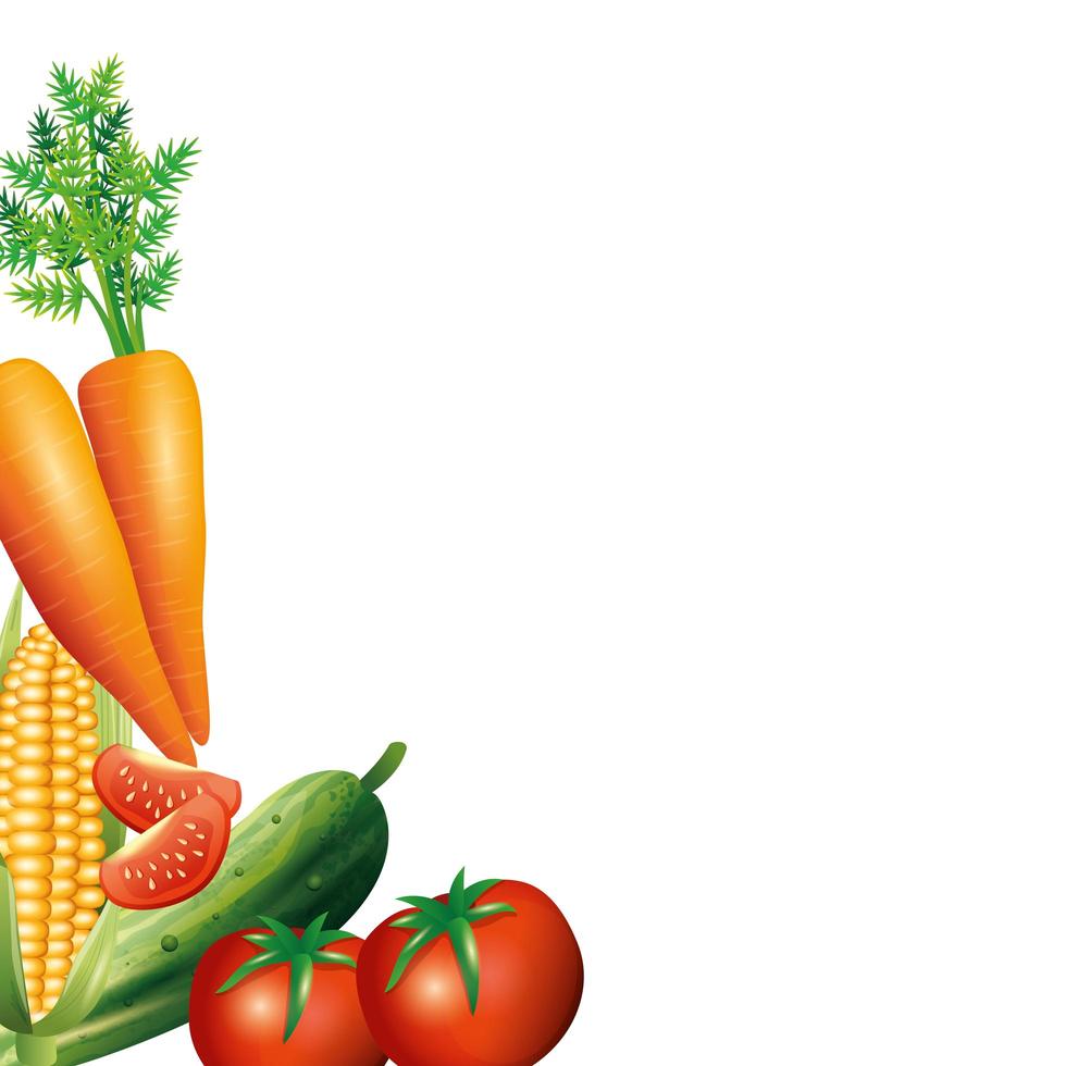 Karottenmaisgurke und Tomatenvektorentwurf vektor