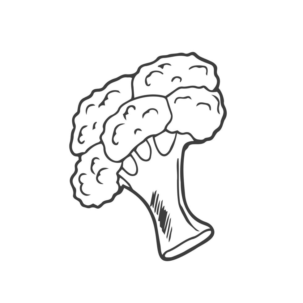 Doodle-Symbol Brokkoli. frisches Cartoon-Gemüse isoliert auf weißem Hintergrund für Zeitschriften, Bücher, Poster, Karten, Menü-Cover, Webseiten. veganes Konzept für Bio-Lebensmittel. vektor