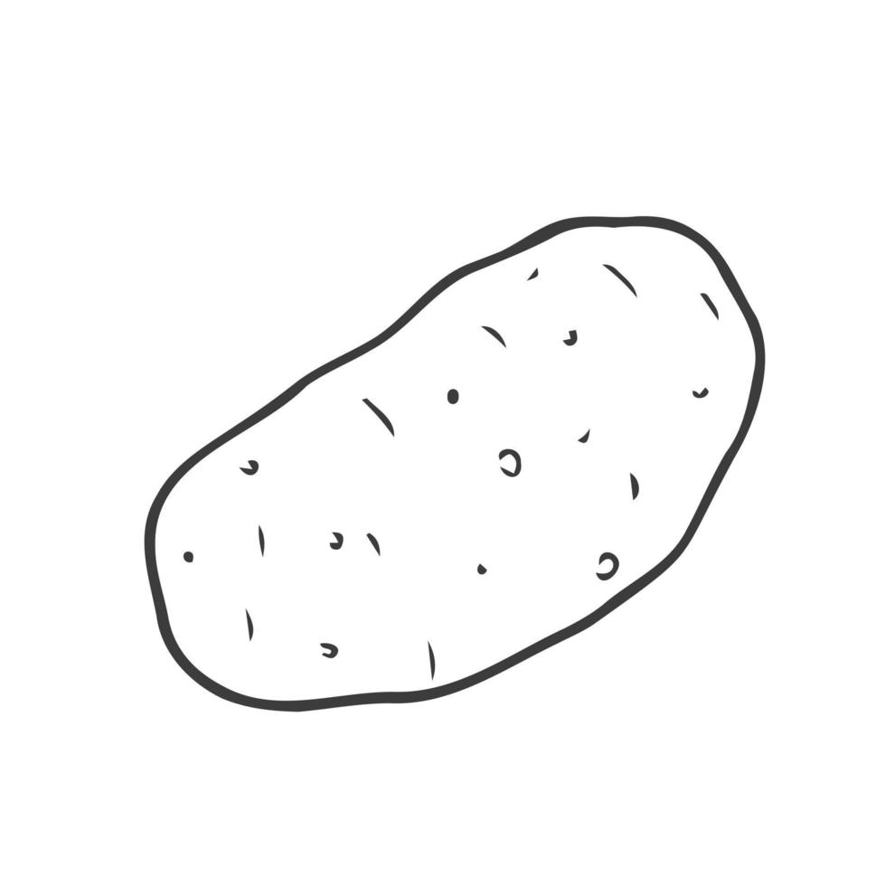 Kartoffelknolle. Vektor. Umrisszeichnung eines Gemüses auf weißem Hintergrund. skizzieren. Zeichenmarker auf Papier. isoliertes Objekt. vektor