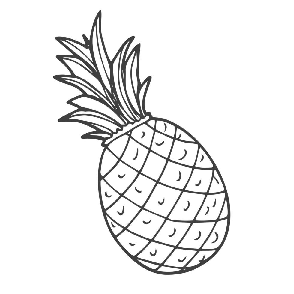 skizzieren Sie das Schwarz-Weiß-Bild einer Ananas im Doodle-Stil vektor