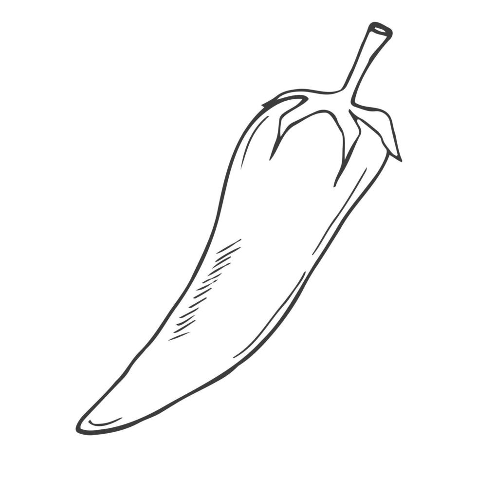 Vektor-Illustration mit Chili. Logo, Symbol, Design, Zeichen, Produktsymbol. vegetarisches Essen. vektor