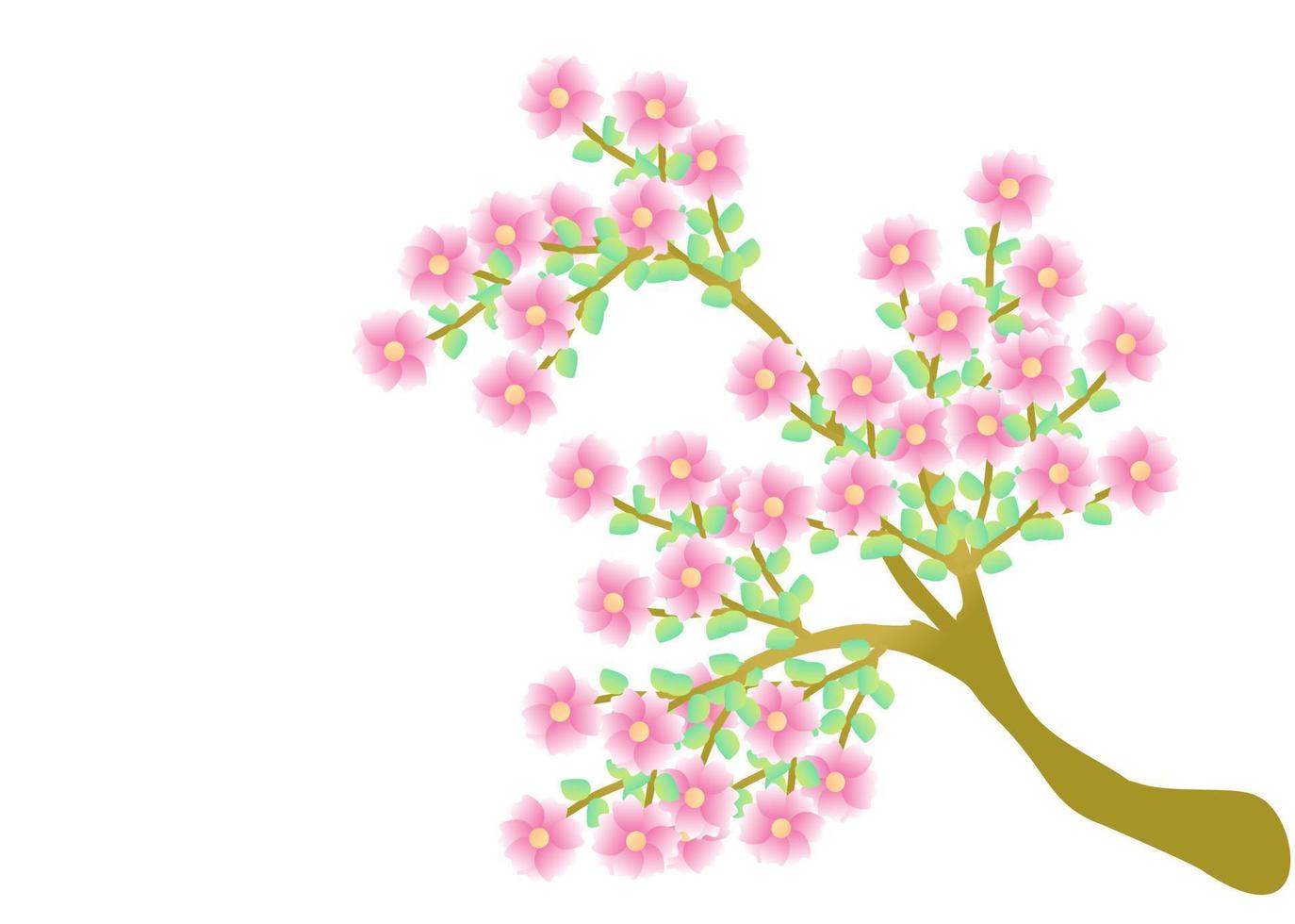 Kirschblütenzweig mit Sakura-Blume. Sakura auf weißem Hintergrund. blühender vektor der kirschblütenblume. rosa sakura-blumenhintergrund.