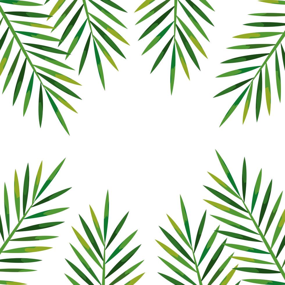 Rahmen von Zweigen mit tropischen Blättern, Naturkonzept vektor
