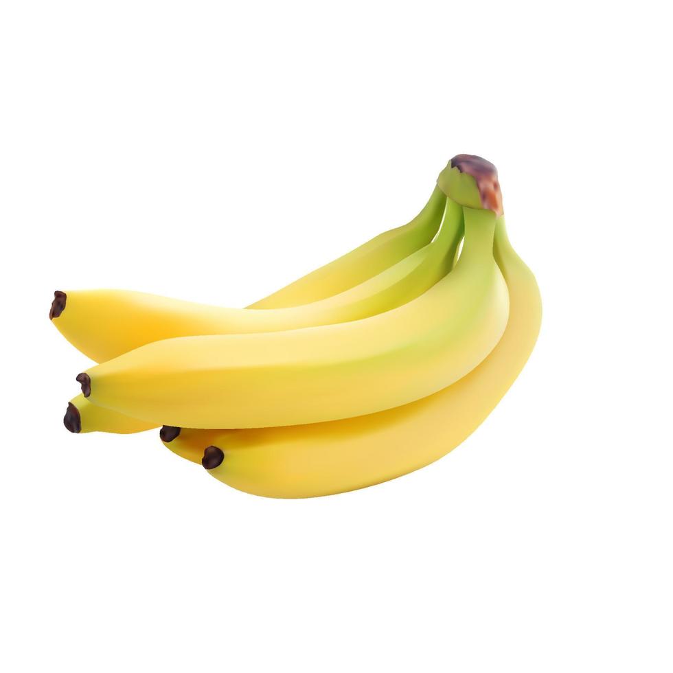 realistische gelbe bananenfrucht im vektor