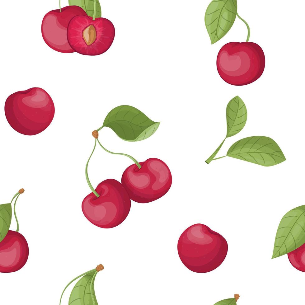 vektor illustration av körsbär isolerat på vit bakgrund, körsbär med löv, halv körsbär, bit av körsbär isolerat