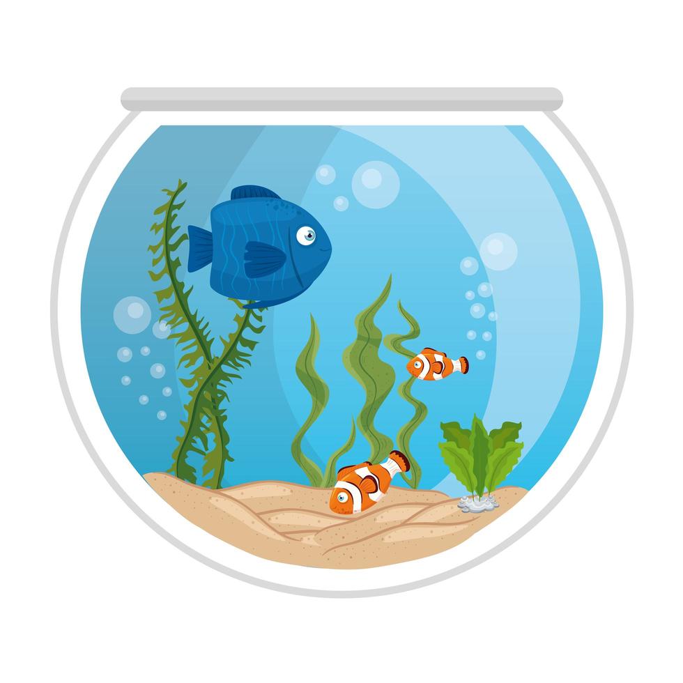 akvariefiskar med vatten, tång, akvarium marina husdjur vektor