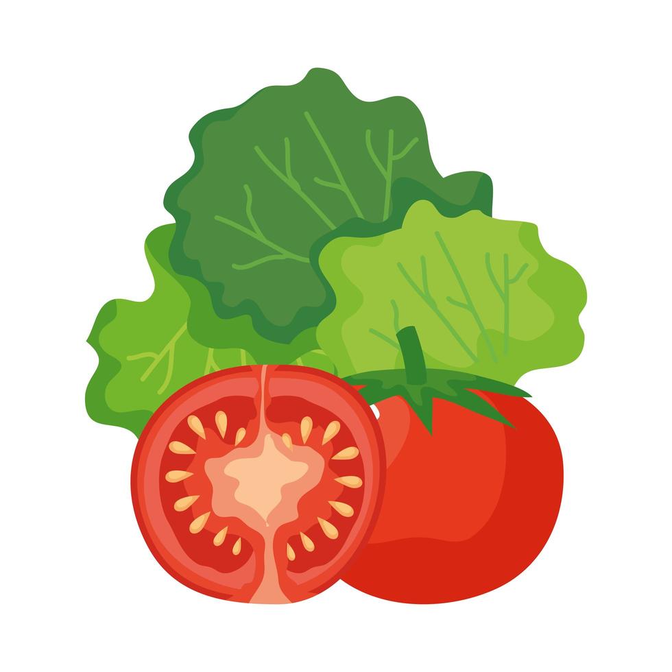 tomater och sallad vektor design