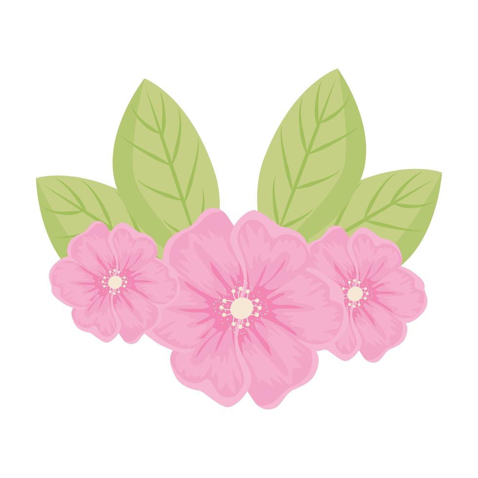 rosa blommor med bladvektordesign vektor