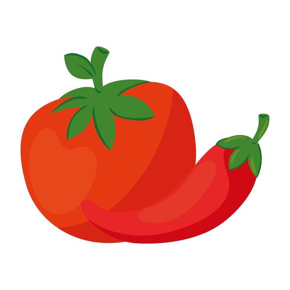 frisches Gemüse, Chili-Pfeffer mit Tomate, im weißen Hintergrund vektor
