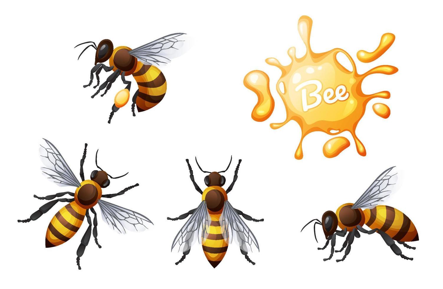 Reihe von Honigbienen. fliegende und kriechende Insekten. geeignet für die Gestaltung von Aufklebern, Websites, Drucken usw. vektor